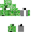 Texture for Kriper