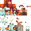 Texture for FEST2