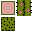 Texture for Cactus