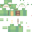 Texture for Lkdmap Turtle