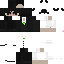 Texture for maestro5