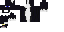 Texture for Kitty Cat