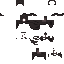 Texture for capa