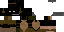 Texture for Recon