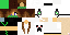 Texture for dsf