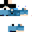 Texture for mini84