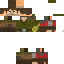 Texture for medieval bard