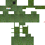 Texture for Frog2