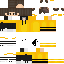 Texture for LionMAX_Z