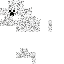 Texture for sc