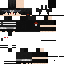 Texture for Saske