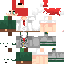 Texture for Steve