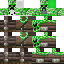 Texture for garrons21