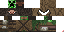Texture for 24