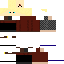 Texture for Version 4