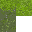 Texture for Subnautica Kelp Forest  seaweed