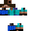 Texture for Steve