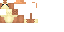 Texture for pidgey2:v