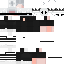 Texture for NORMAL V2