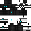 Texture for _cat_ninja_