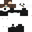 Texture for Panda cam