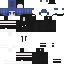 Texture for SillyNiko