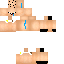 Texture for steve