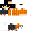 Texture for akirafox