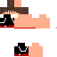Texture for _PhoenixGamer_