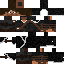 Texture for SteveAssn v2