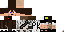 Texture for PheonixKing11