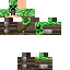Texture for CreeperKiller