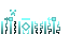 Texture for char.png