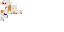 Texture for hamster