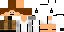 Texture for FlyPT