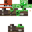 Texture for char