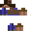 Texture for Steve construtor