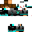 Texture for Deive