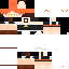 Texture for ten_skin