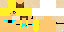 Texture for TranscriptorHD