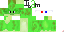 Texture for Game Gecko 2