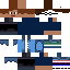 Texture for leo