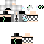 Texture for Maxride2000