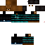 Texture for LunixP