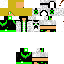 Texture for マイクラスキン