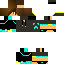 Texture for PlayHoyseTR