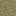 Texture for acacia_leaves