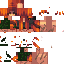Texture for PIJAMA