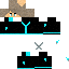 Texture for FrostedNinja