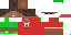 Texture for 8895